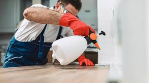 Best Residential Pest Control  in Garden City, MI